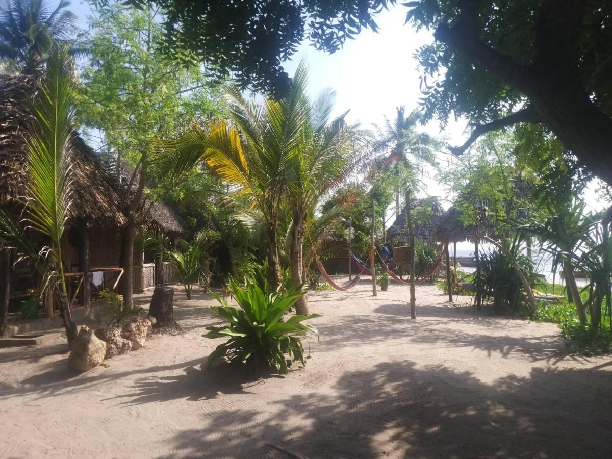 Ushongo Beach Bandas Pangani エクステリア 写真