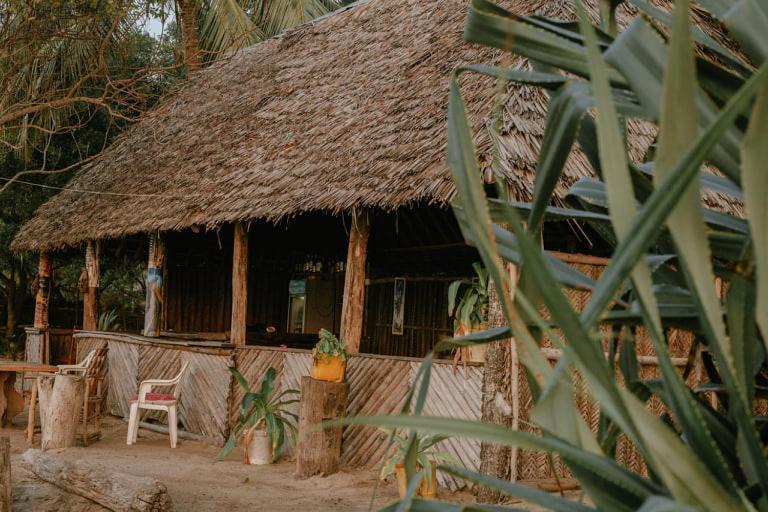 Ushongo Beach Bandas Pangani エクステリア 写真